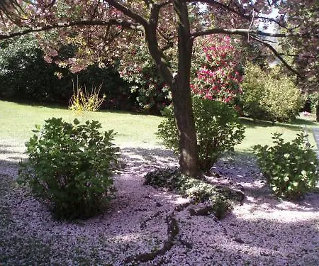 Hotel Du Parc 3*