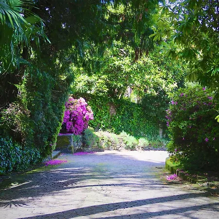 Ξενοδοχείο Du Parc 3*